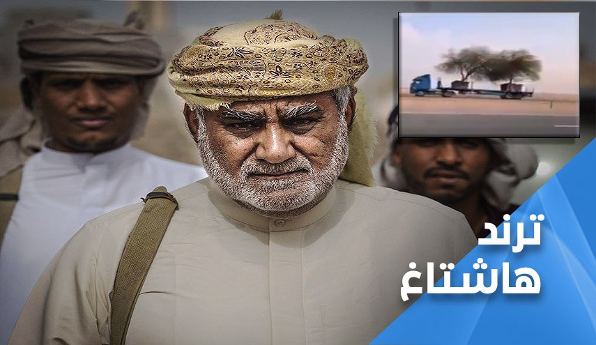 الحريزي كرامة وطن وعيال زايد يسرقون اشجار سقطرى