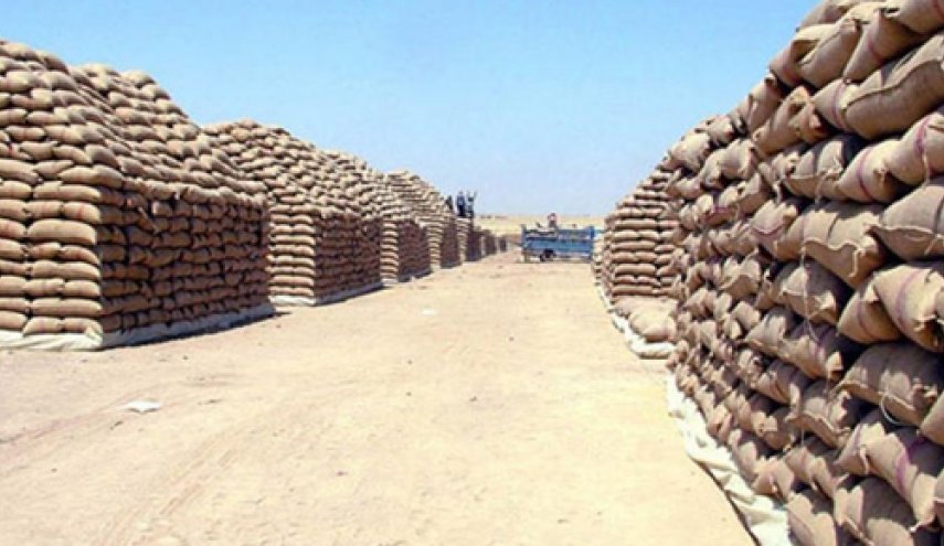 وزير التجارة السوري: مخزون القمح والدقيق يكفي لعدة أشهر