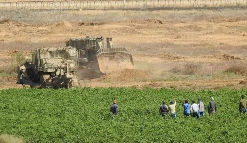 منظمات تطالب الاحتلال بوقف تجريف أراضي زراعية في غزة
