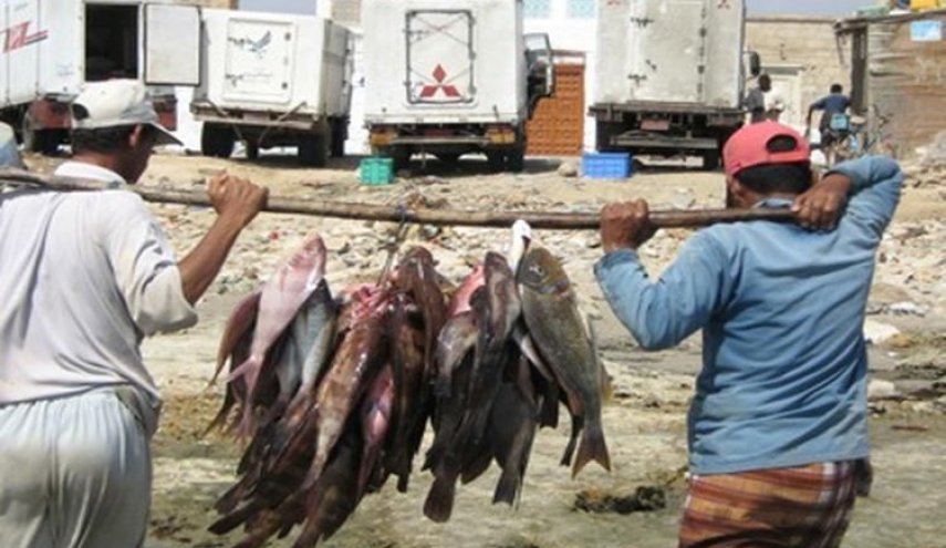 اليمن.. نهب ممنهج من قبل دول العدوان للثروة السمكية اليمنية