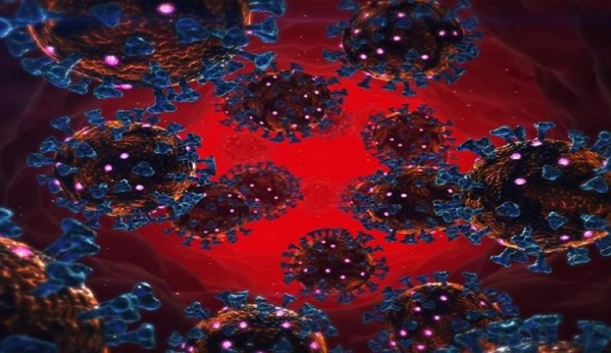 ما هو تأثير الطفرات على سرعة انتشار فيروس كورونا؟
