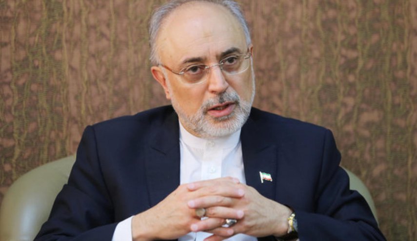 صالحي: جميع شؤون صناعتنا النووية تشهد تقدما