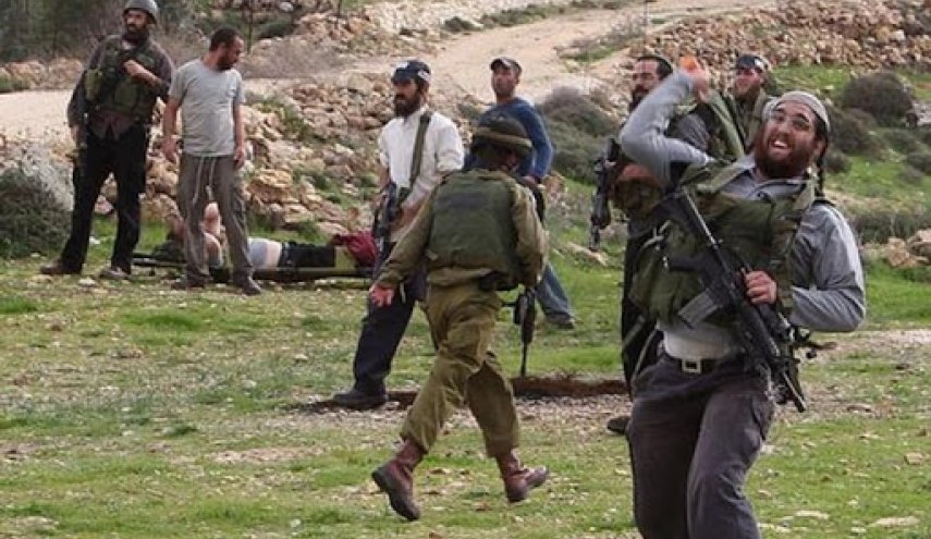 مستوطنون يكثفون اعتداءاتهم على الفلسطينيين  لليوم الثالث