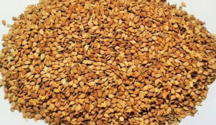 اطنان من الحمص والسمسم مليئة بالديدان في بيوت الأردنيين