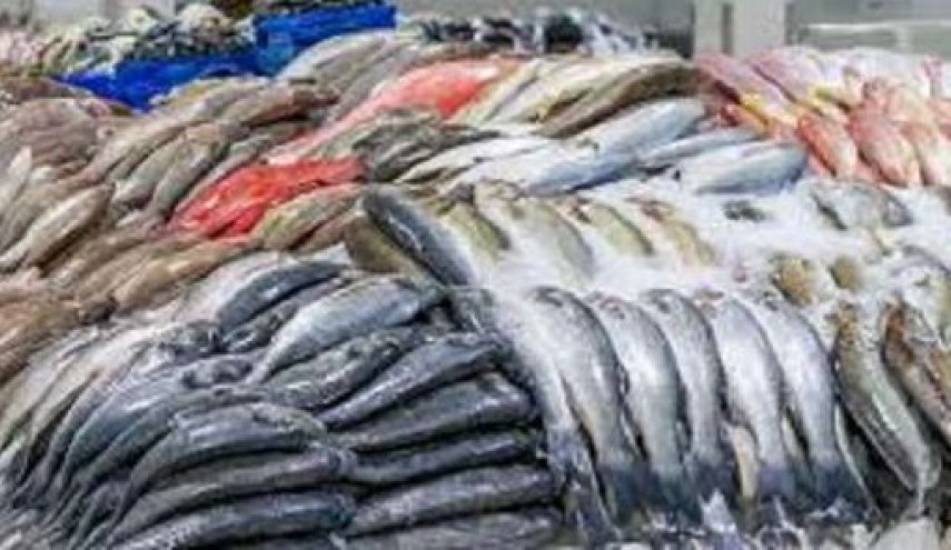 خلال عيد الميلاد.. غلاء فاحش باسعار الاسماك في الاسواق السورية 