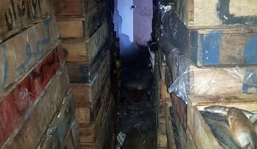 ضبط 7 أطنان سمك فاسد معدة للتهريب إلى دمشق