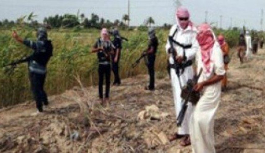 متمردون في موزمبيق يهاجمون أكبر مشروع استثماري خاص في إفريقيا
