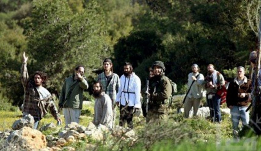 مستوطنون يزرعون أشجارا في أراض بالخليل للاستيلاء عليها