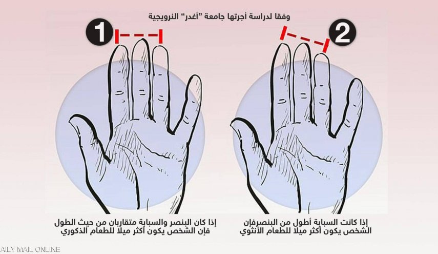 دراسة تكشف علاقة غريبة بين أصابع اليد وتفضيلات الطعام