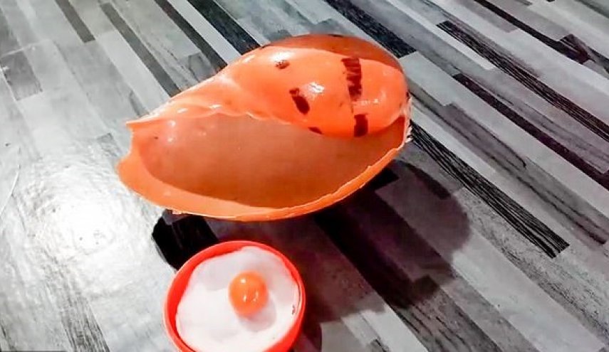 شاهد.. سائق يعثر على اندر لؤلؤة في العالم بالصدفة! 