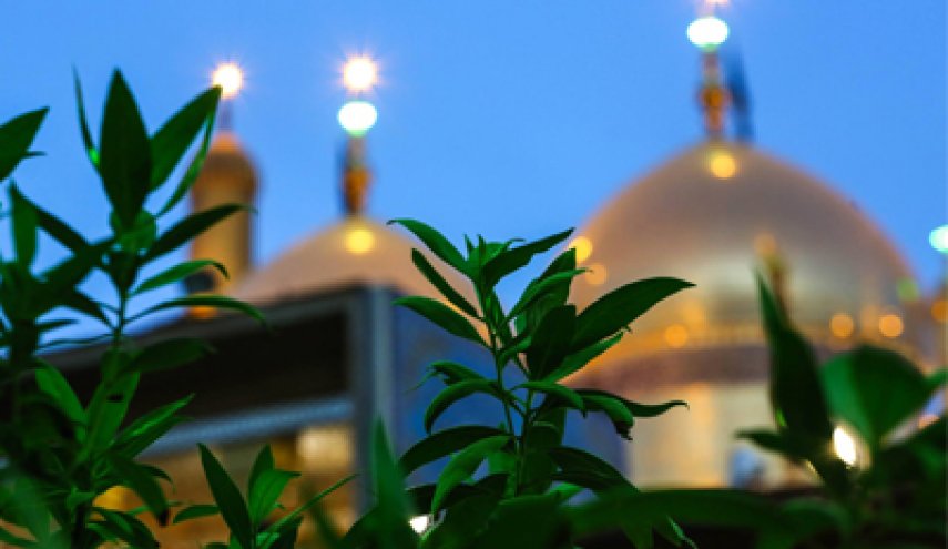 يا حبذا يوم (الجَوادِ) مواهباً