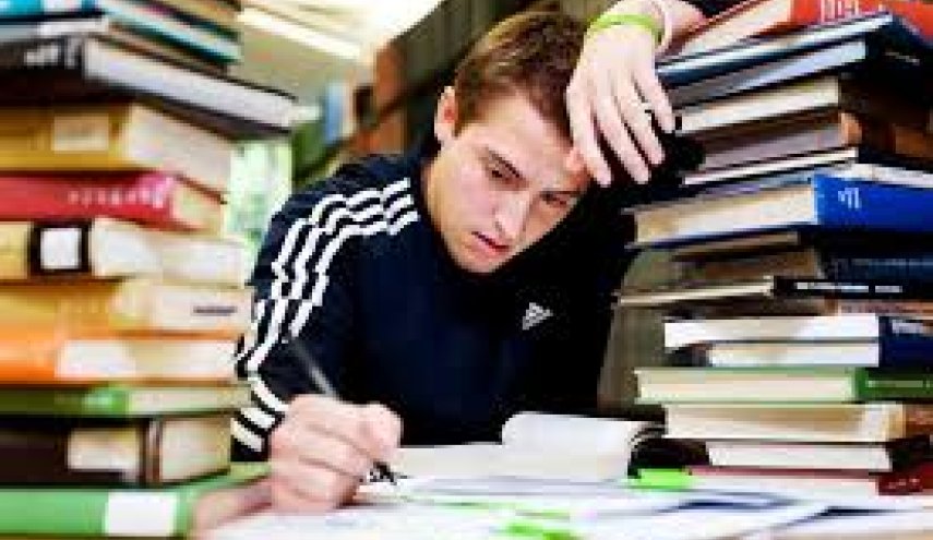 أطعمة تفيد في التركيز والامتحانات
