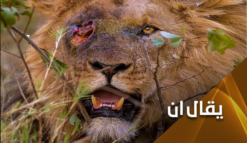 بايدن.. اطفئ نرجسيتك وتصرف بمنطق العقل وإلّا.. فالقادم أعظم