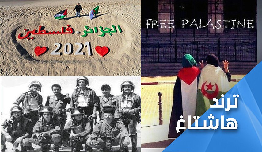 الجزائر عقدة الصهاينة.. مبادؤها ليست للبيع