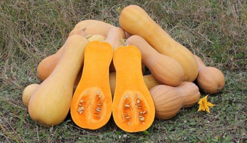 مادة غذائية تساعد على تخفيض ضغط الدم