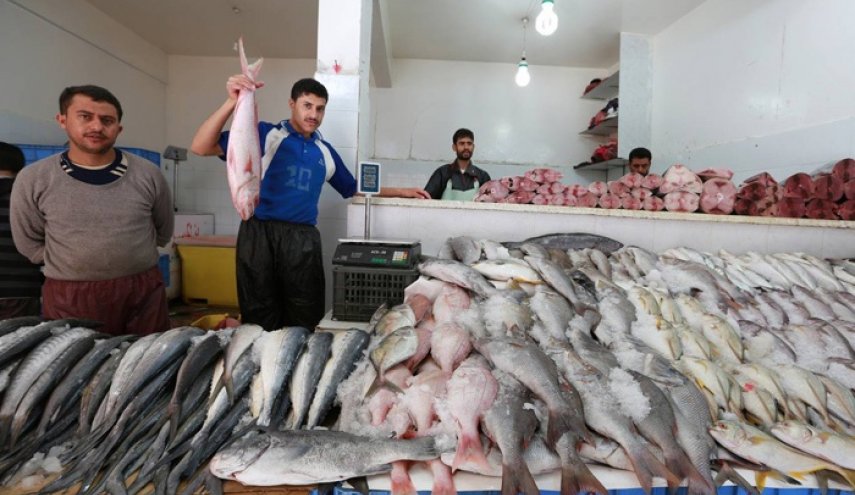 خسائر القطاع السمكي خلال ست سنوات من العدوان على اليمن