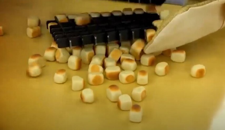 علماء روس يطورون دفيئة لاستنبات الحبوب بالفضاء