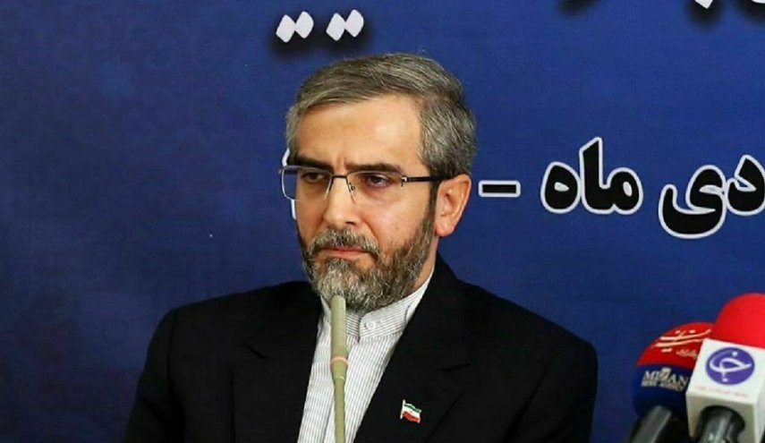 دیپلماسی قضایی از هر ابتکاری برای رهایی ایرانیان دربند در دیگر کشورها به وطن بهره خواهد برد