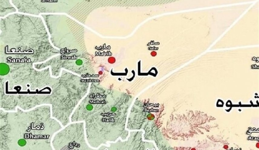 الداخلية اليمنية تكشف عن نشاط تنظيم القاعدة في مأرب