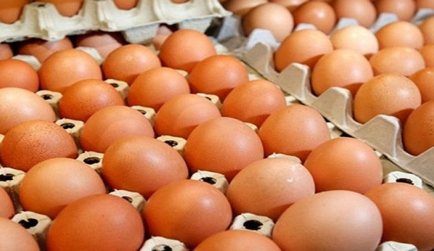 لا ترميها بعد اليوم.. أفضل طريقة لاستغلال كرتونة البيض الفارغة