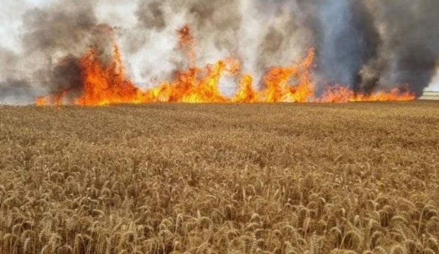 حرائق في المستوطنات الصهيونية بـ'غلاف غزة'
