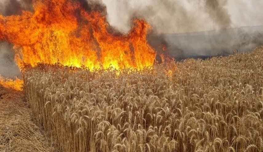 40 حريقا في غلاف غزة ببالونات المقاومة الفلسطينية