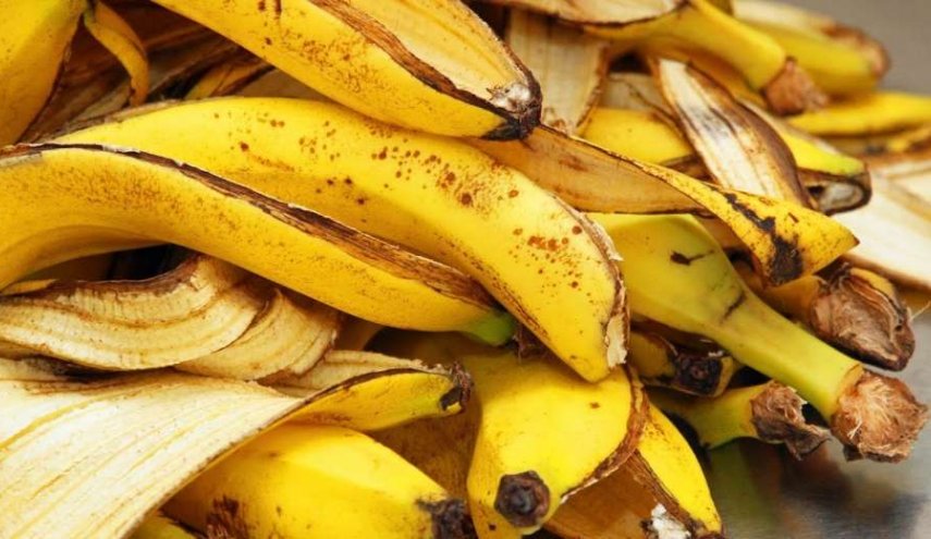 خبيرة تغذية توضّح فوائد قشر الموز
