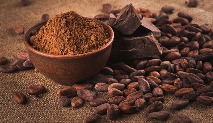 فوائد للقلب والدماغ يحققها تناول الكاكاو
