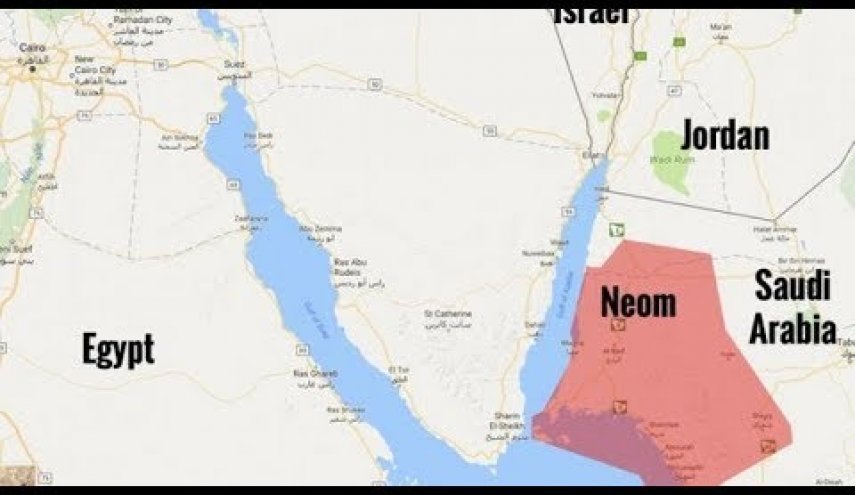 فساد في مشروع نيوم.. والمفاجأة:سعر الشجرة الواحدة 10 آلاف ريال!