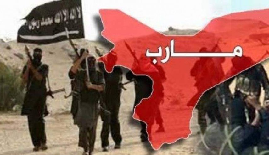 اعتراف جديد يكشف خفايا القلق الأمريكي من تحرير مأرب