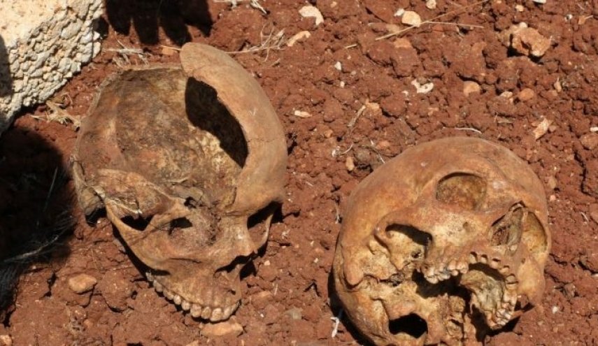 السودان.. العثور على 76 جمجمة بمقابر جماعية في دارفور