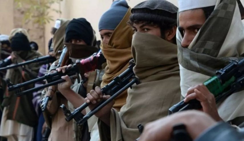 سقوط 11 مقاطعة جديدة في يد حركة 