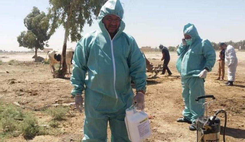  الصحة العراقية تحذر من مرض قاتل ينتقل من الحيوان إلى الإنسان