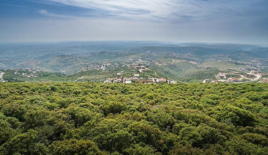 اندلاع حريق كبير شمال لبنان