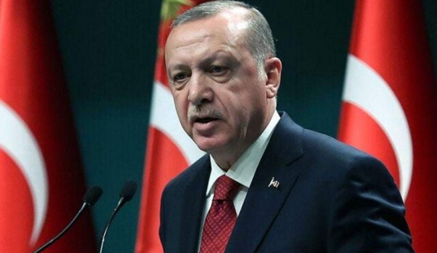 أردوغان يدعو إلى عدم استغلال حرائق الغابات في تركيا لـ