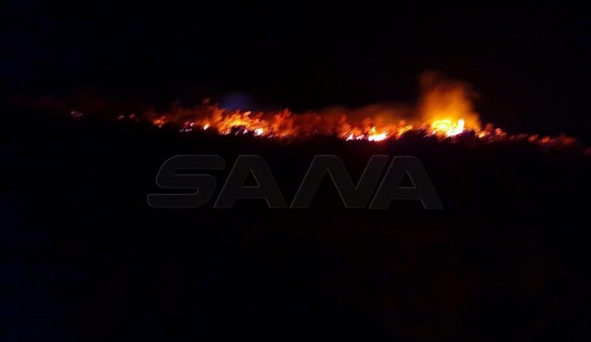 بالصور.. اندلاع حريق في جبل كفرلاها بريف حماة في سوريا
