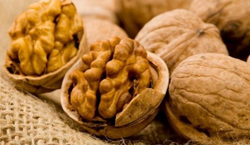 فائدة سحرية لـ'الجوز'