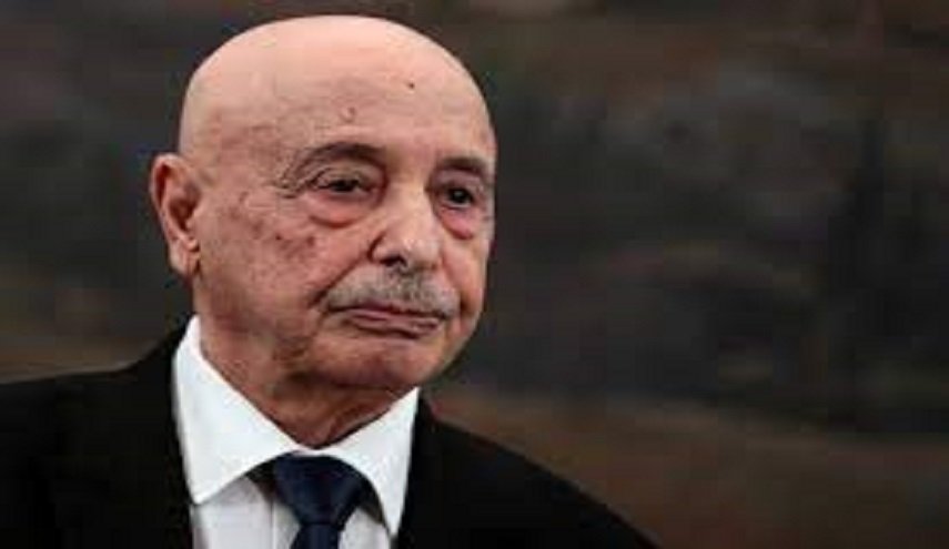 ليبيا..هل حصل صالح على الدعم المصري لترشحه للرئاسية؟