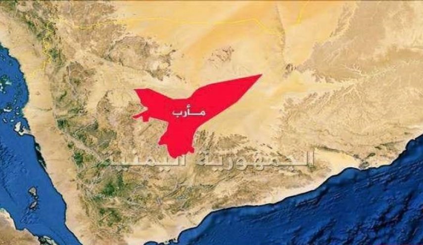 مأرب: اجتماع لمناقشة أداء الأجهزة الأمنية في المناطق المحررة