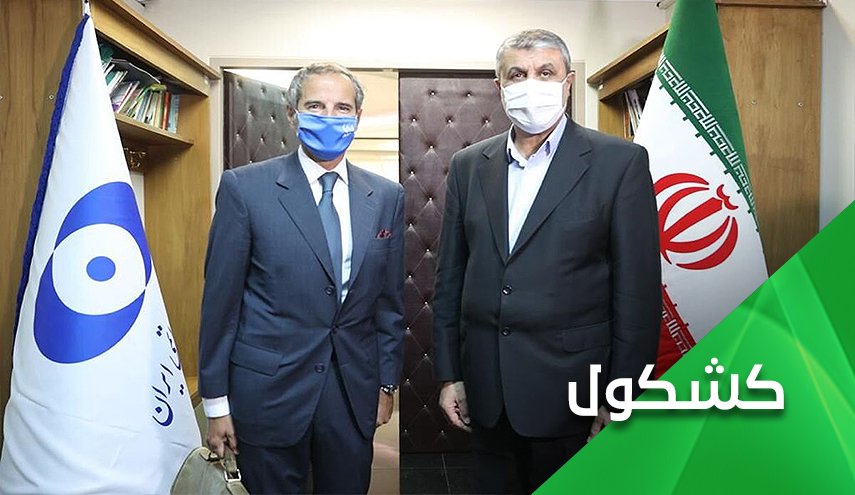 إيران تمنح مجموعة 4+1 فرصة لإنزال بايدن من شجرة ترامب
