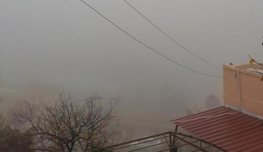 لبنان.. الامطار بدأت تتساقط.. والضباب يغطي بعض  المناطق
