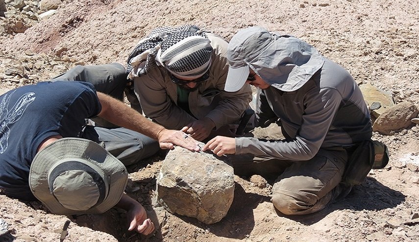 شاهد بالصور.. اكتشاف حفرية 