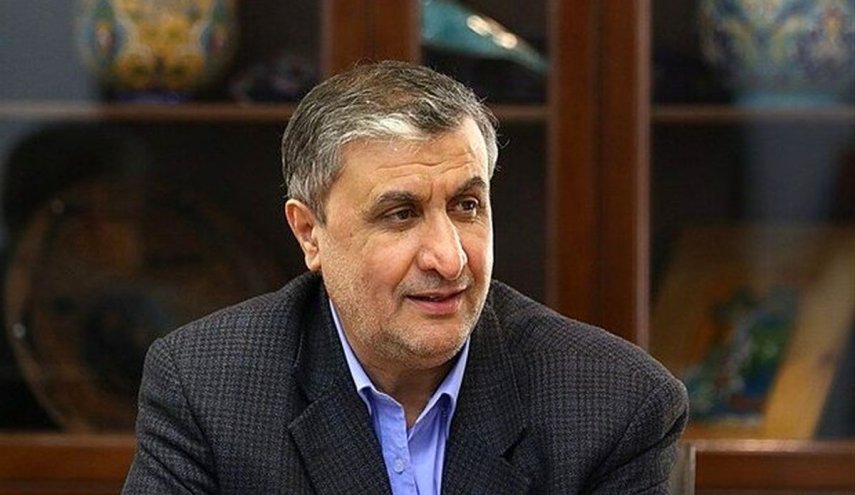 رئيس منظمة الطاقة الذرية الإيرانية يصل إلى فيينا