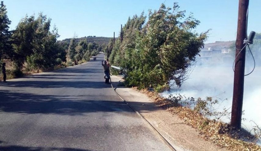 بالصور.. اخماد حريق أشجار حراجية بريف حمص