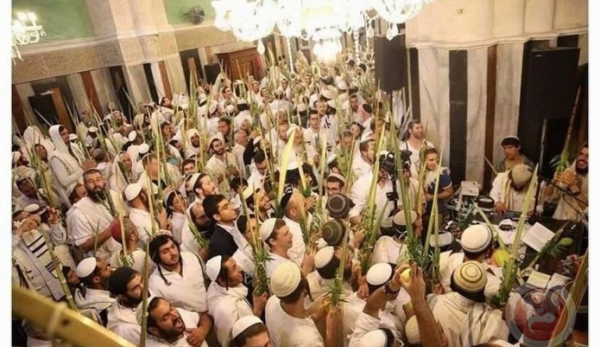 بالصور: مستوطنون يستبيحون المسجد الإبراهيمي