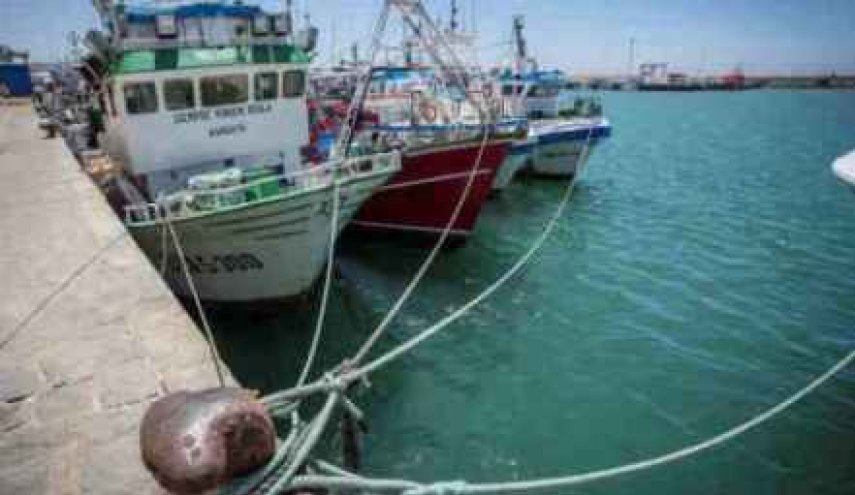 ثروات الصحراء وفجوة جديدة بين الدولة المغاربية وأوروبا