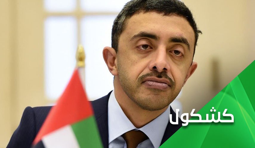 وزير خارجية الإمارات.. لا لأنصار الله، نعم لـ