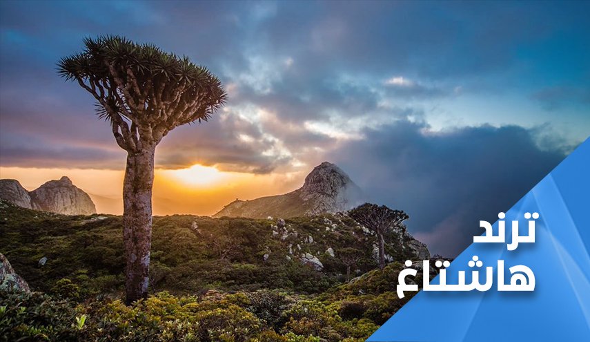 سقطرى تستجدي همم أبنائها للتخلص من الإحتلال الإماراتي