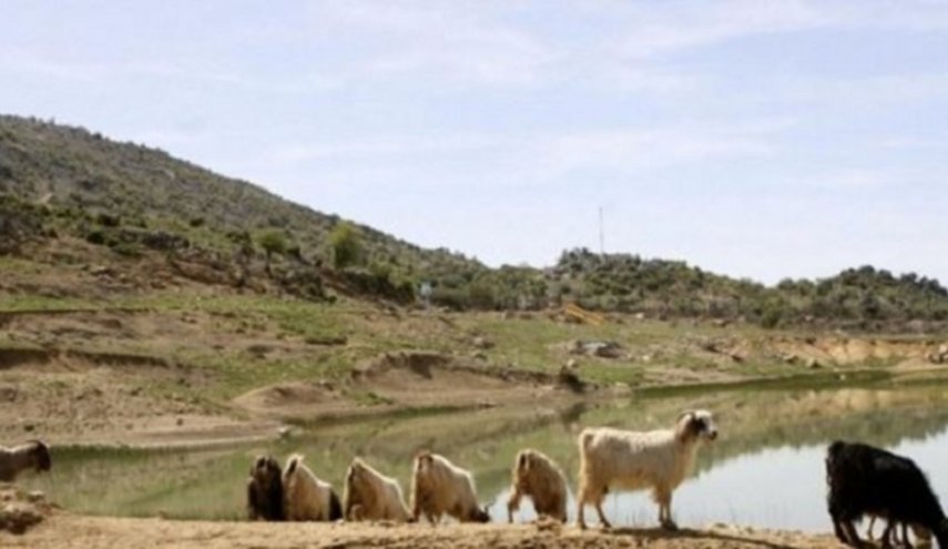 القوات الصهيونية تخطف راعيا من جنوب لبنان