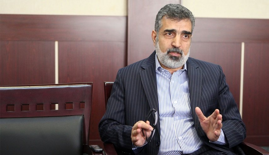 كمالوندي: على وكالة الطاقة ألا تتجاوز سلطاتها 